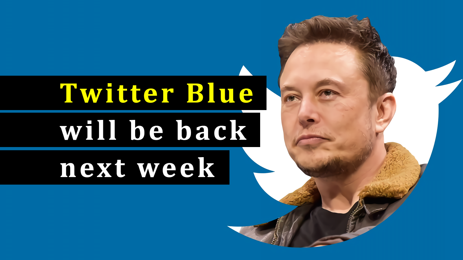 Elon Musk says Twitter Blue will probably be back by the end of next week
